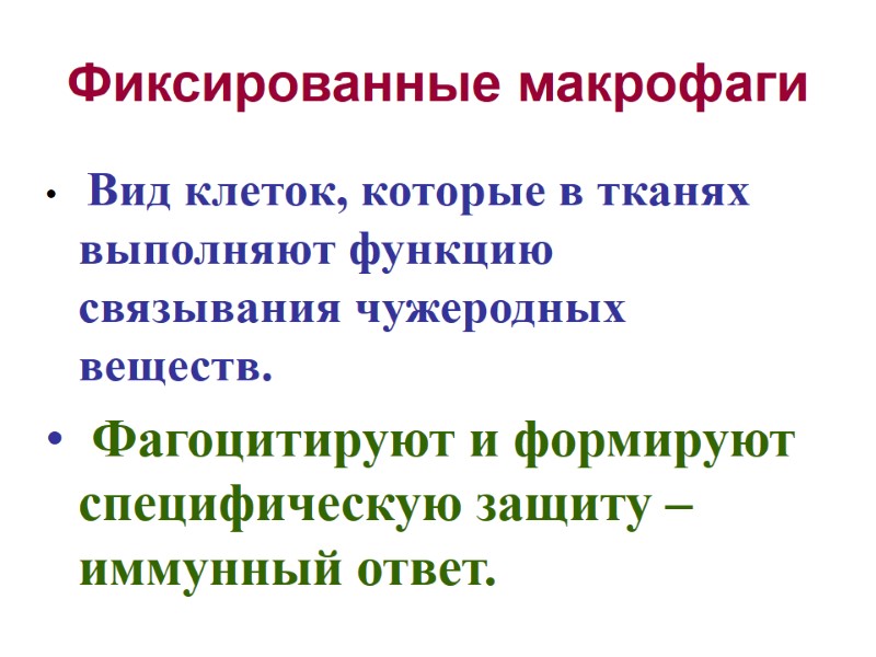 Фиксированные макрофаги  Вид клеток, которые в тканях выполняют функцию связывания чужеродных веществ. 